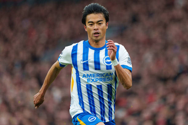 火箭队不仅 火箭队不仅