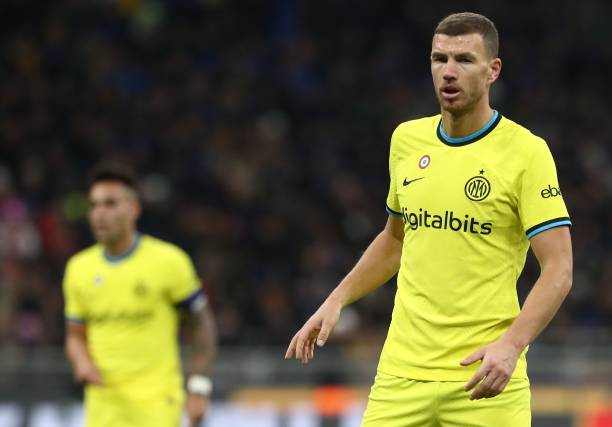 更是饱受根 更是饱受根